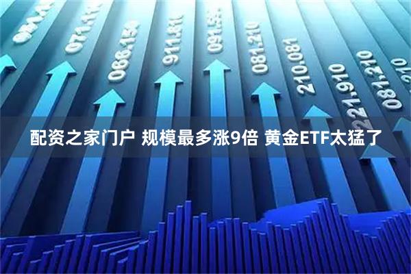配资之家门户 规模最多涨9倍 黄金ETF太猛了