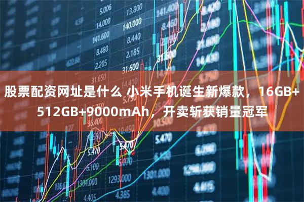 股票配资网址是什么 小米手机诞生新爆款，16GB+512GB+9000mAh，开卖斩获销量冠军
