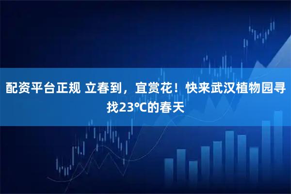 配资平台正规 立春到，宜赏花！快来武汉植物园寻找23℃的春天