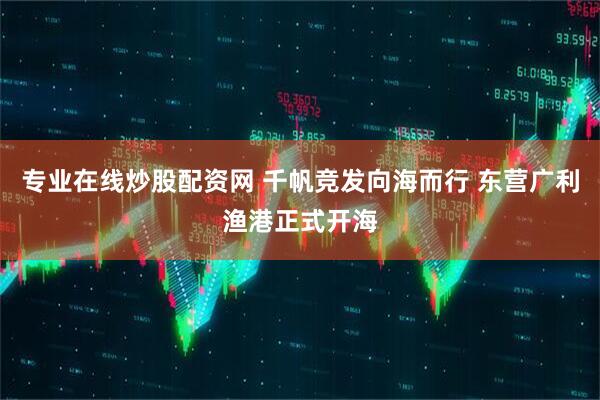 专业在线炒股配资网 千帆竞发向海而行 东营广利渔港正式开海